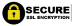ssl-secure-icon ssl-secure-icon